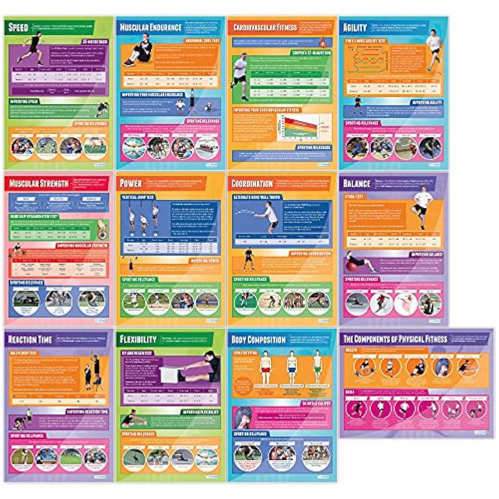Physical Fitness Posters - Set of 12 A1 Gloss Paper PE Wall Charts