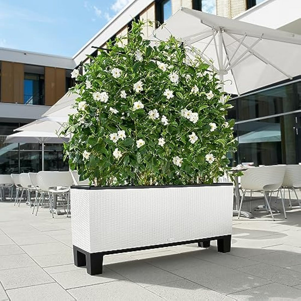 Lechuza Trio Cottage 30 Self-Watering Planter - White Wicker Plastic