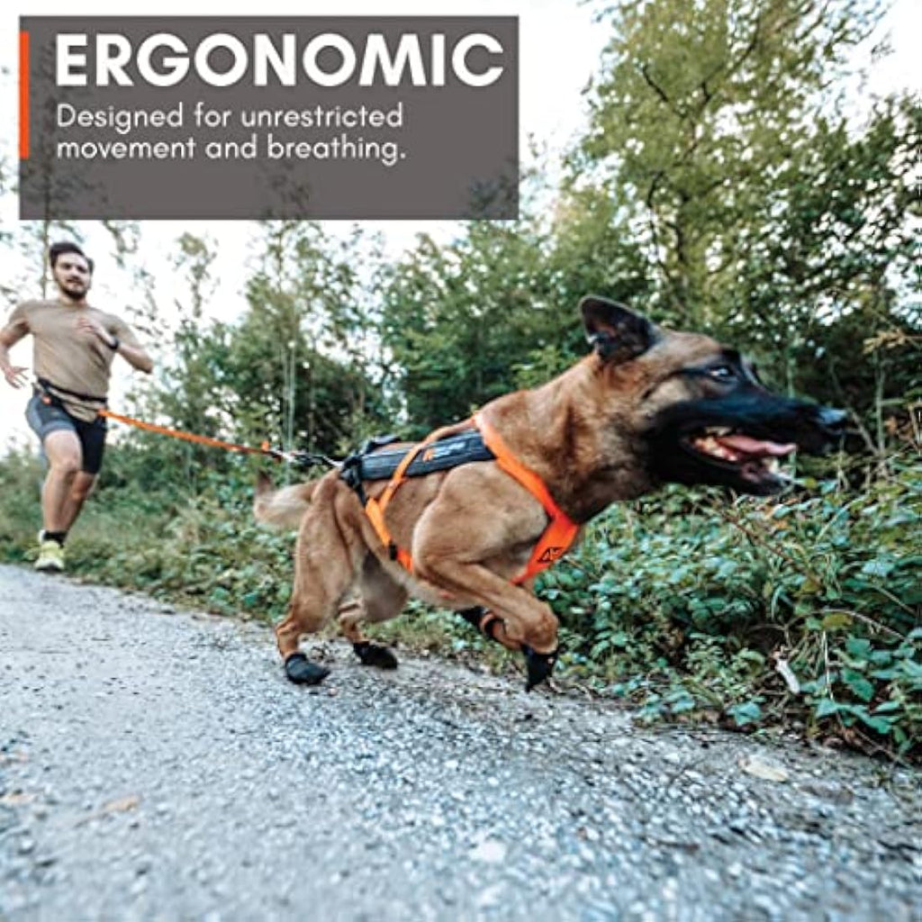 Non-stop dogwear Freemotion 5.0 Dog Pulling Harness - Orange/Black