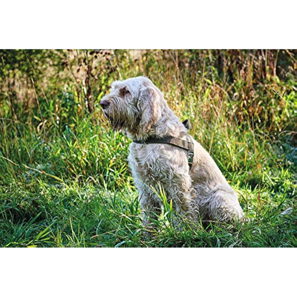 Hunter Norwegian Dog Harness – Brown Leather Hunting Gear, 55 x 71-97 cm