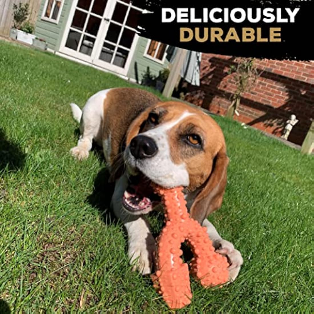 TastyBone TrioBone Nylon Dog Chew Toy for Aggressive Chewers – Bacon
