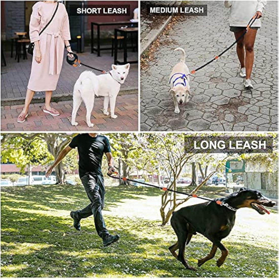 Hands Free Dog Lead – 7ft Nylon Training Leash, Black