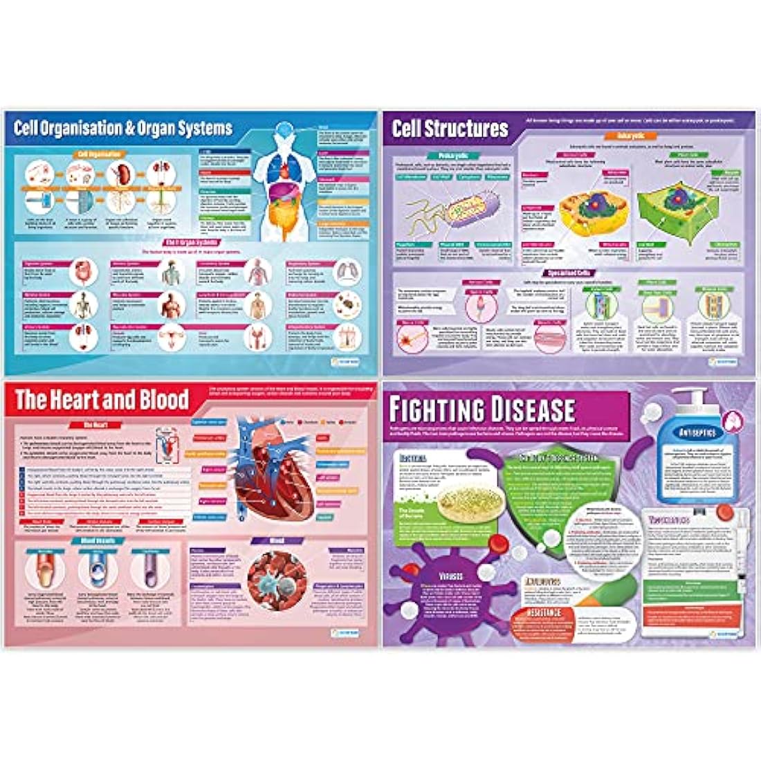 Daydream Education Biology Posters - Set of 13 A1 Science Charts