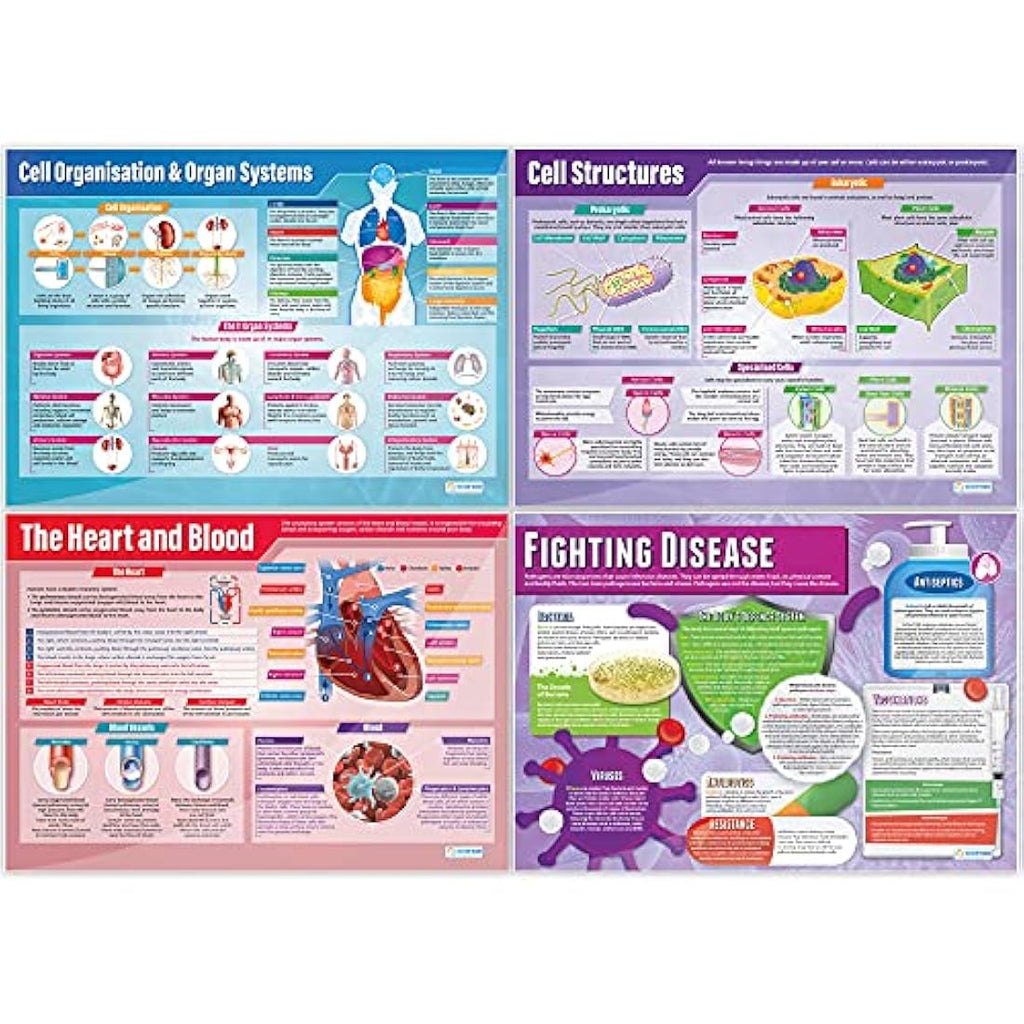 Daydream Education Biology Science Posters | Set of 13 Laminated A1 Charts