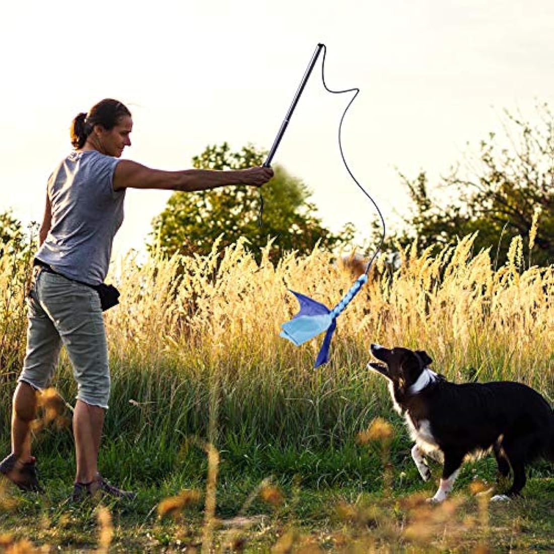 Jolof Store Flirt Pole Dog Toy – Retractable Training Wand with 2 Ropes