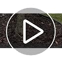 Jolof Store Recycled Plastic Lawn Edging – 26.7m Flexible Garden Border