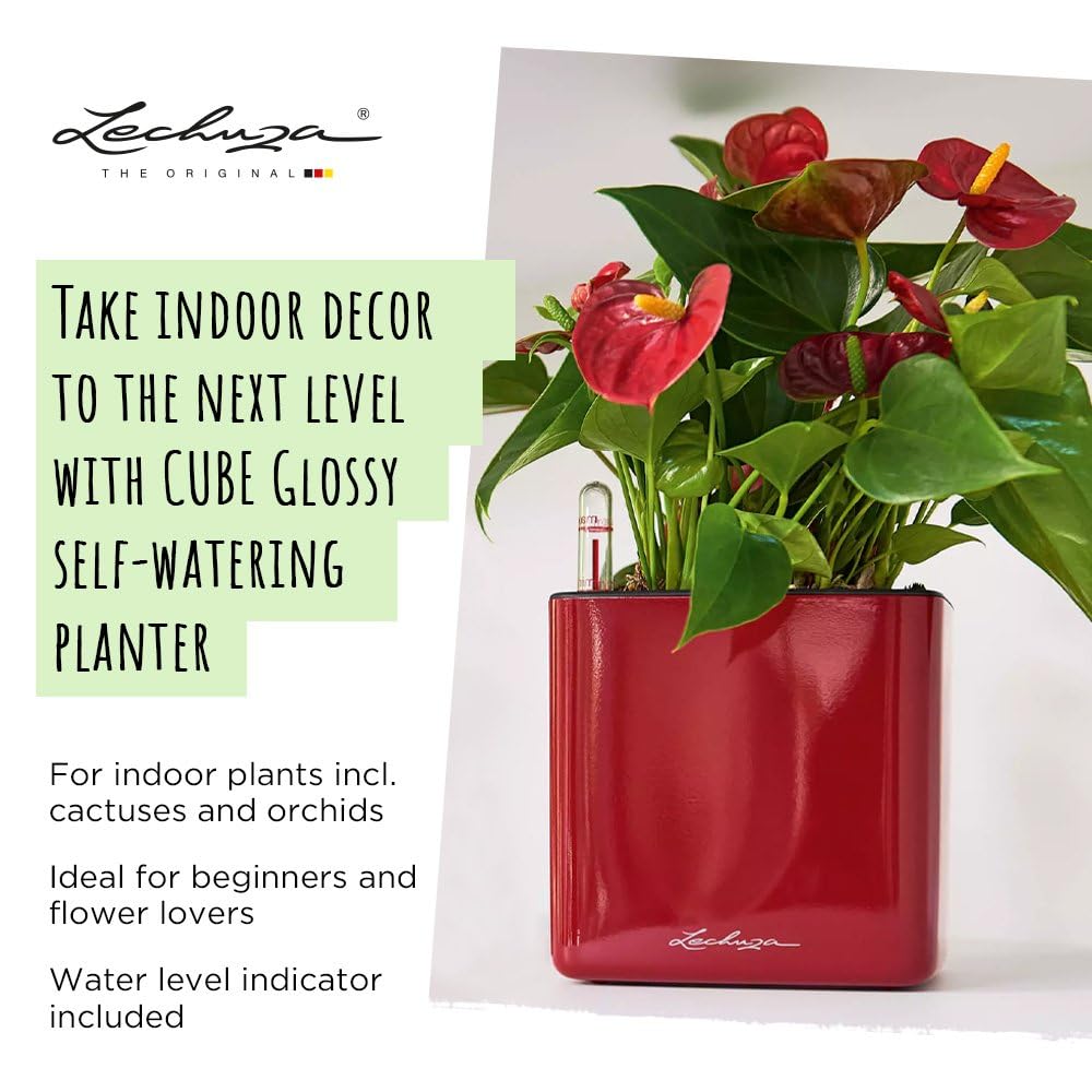 LECHUZA CUBE Glossy 16 Self-Watering Indoor Planter – Red High-Gloss