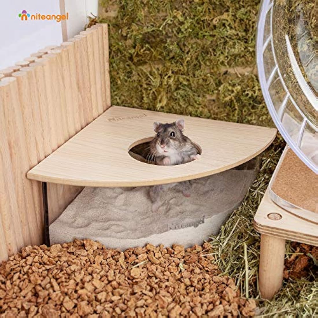 Niteangel Acrylic Hamster Sand Bath Box – Fan-Shaped Digging Container