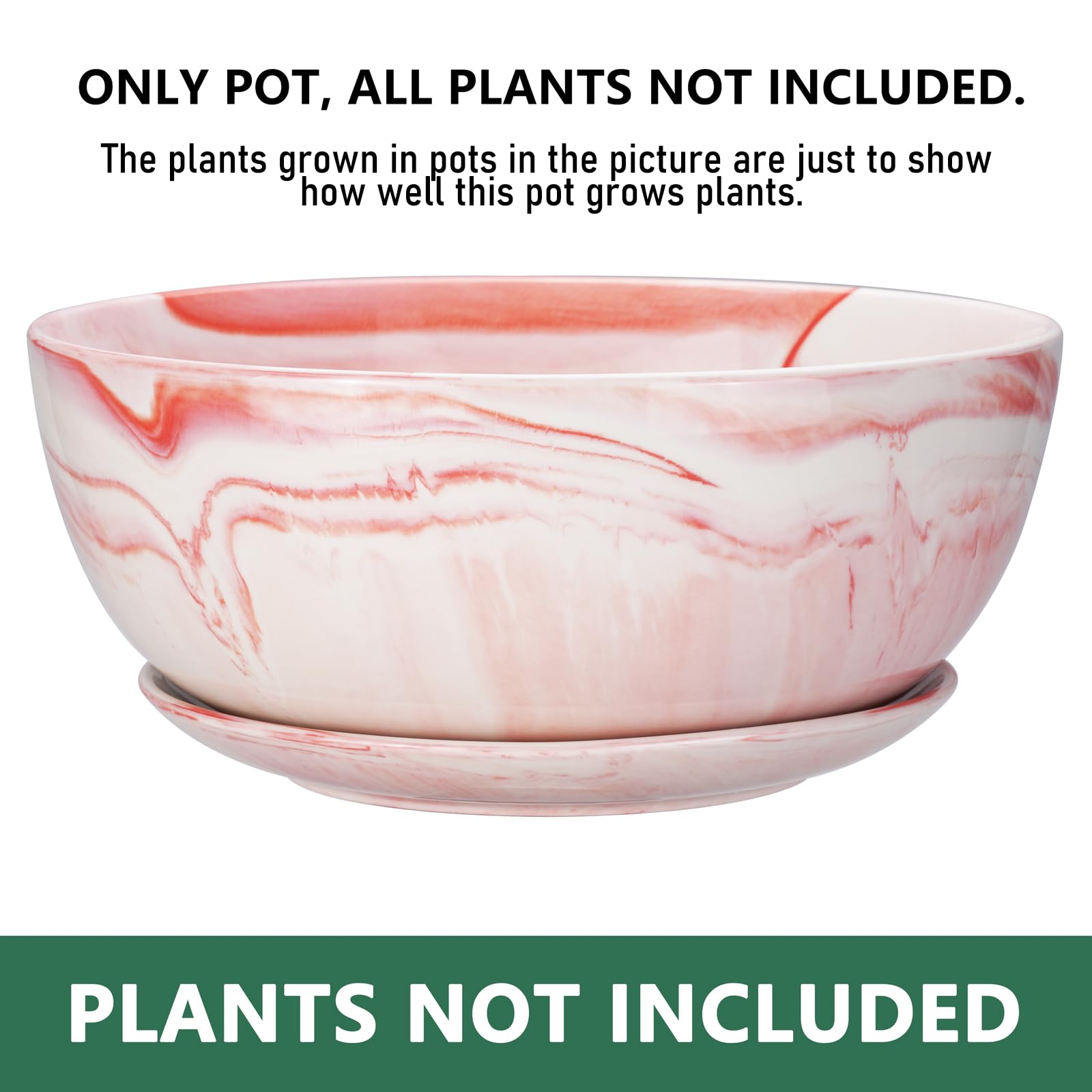 EPGardening 10-Inch Marble Ceramic Succulent Planter Pot with Tray