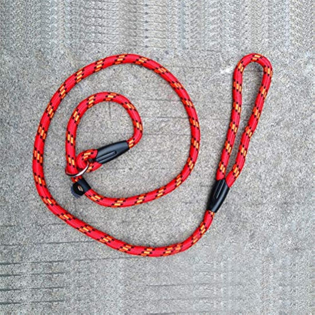 Dog Slip Lead – 125cm Durable Nylon Training Leash, Red