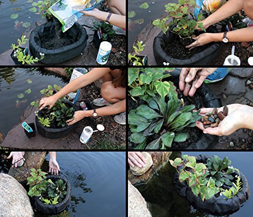 Aquascape Floating Plant Island – Pond Planter for Aquatic Plants