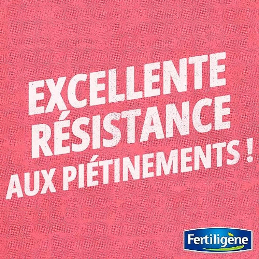 Fertiligene Gazon Rustique Universel - Semences Pelouse 35m²