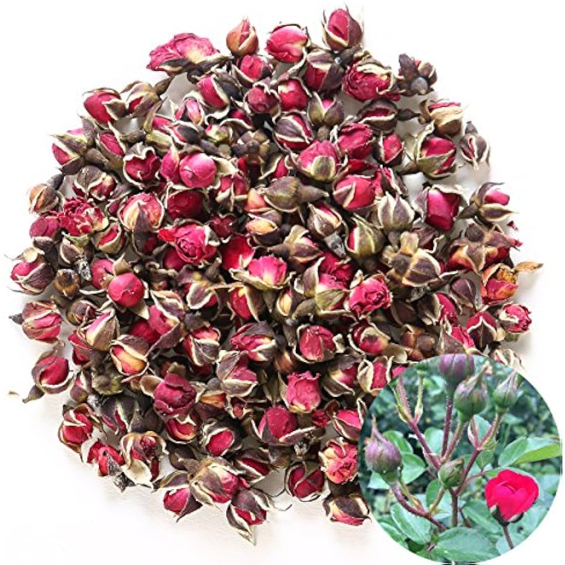 TooGet Dried Golden-rim Rose Buds - Culinary Grade Herbal Tea - 4 OZ