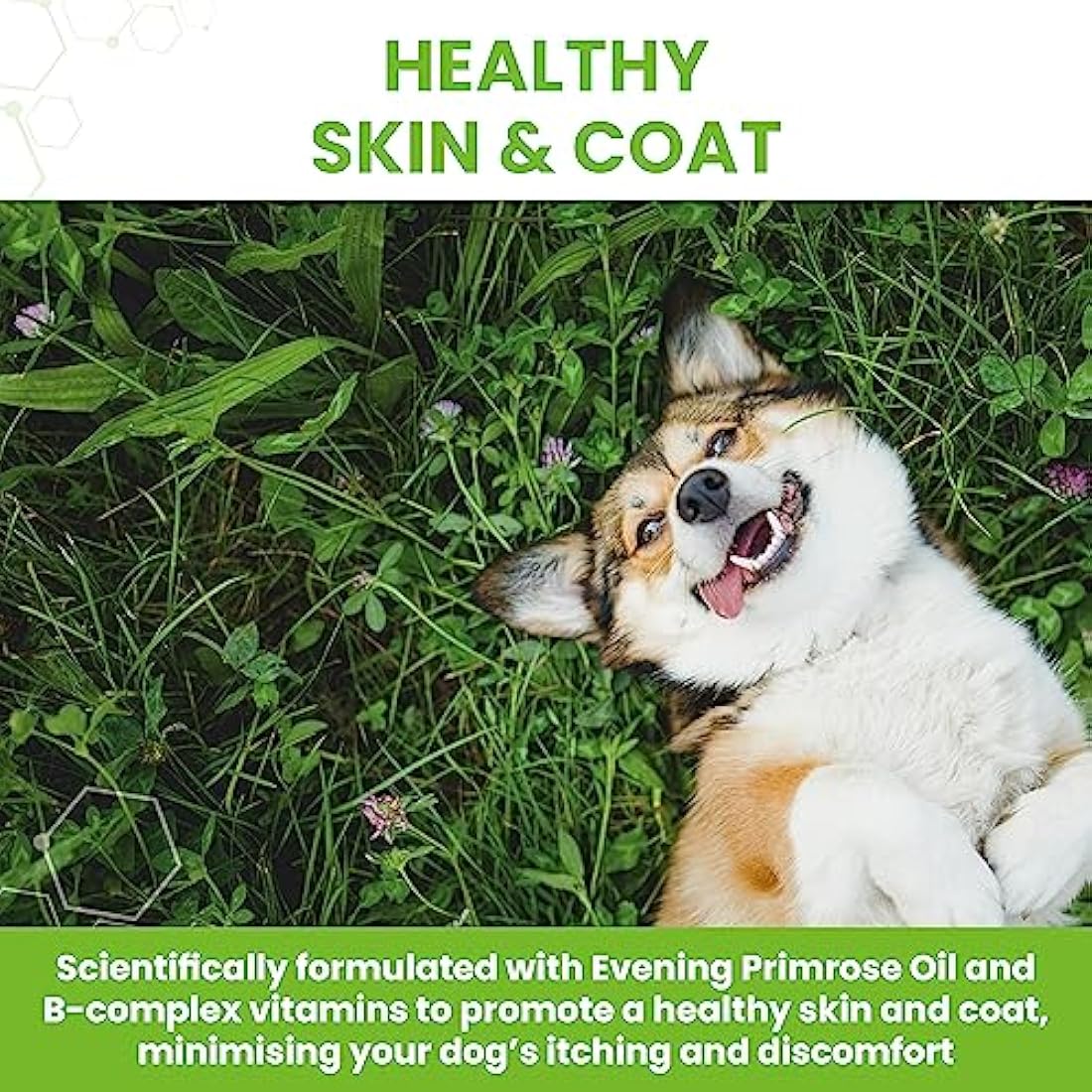 Vetzyme Dry Skin Relief Tablets for Dogs – Chicken Flavour (30 Count)