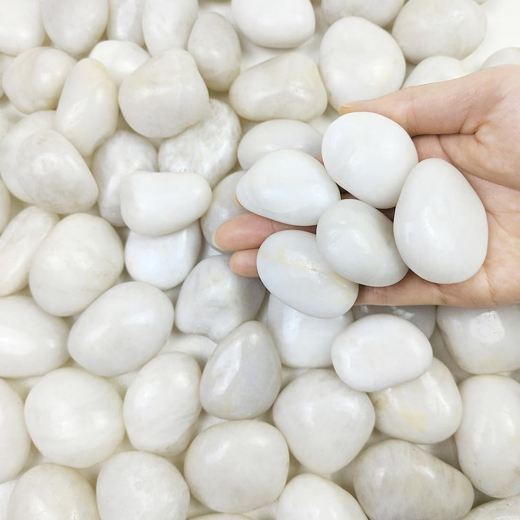 FANTIAN White Decorative Stones – 9.1kg Natural Pebbles for Garden