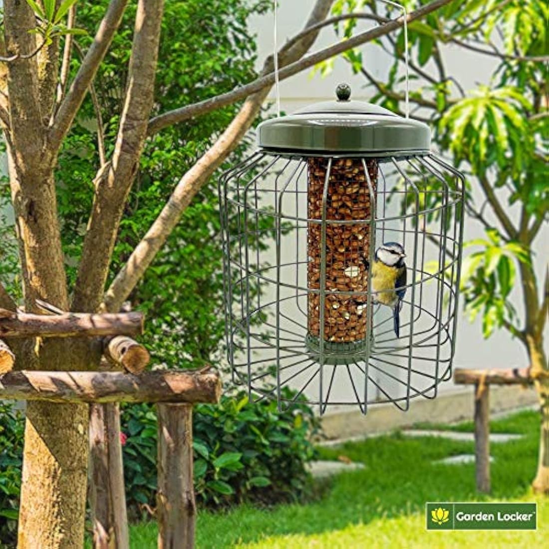 Jolof Store Squirrel Proof Peanut Bird Feeder – Heavy Duty Metal Mocha