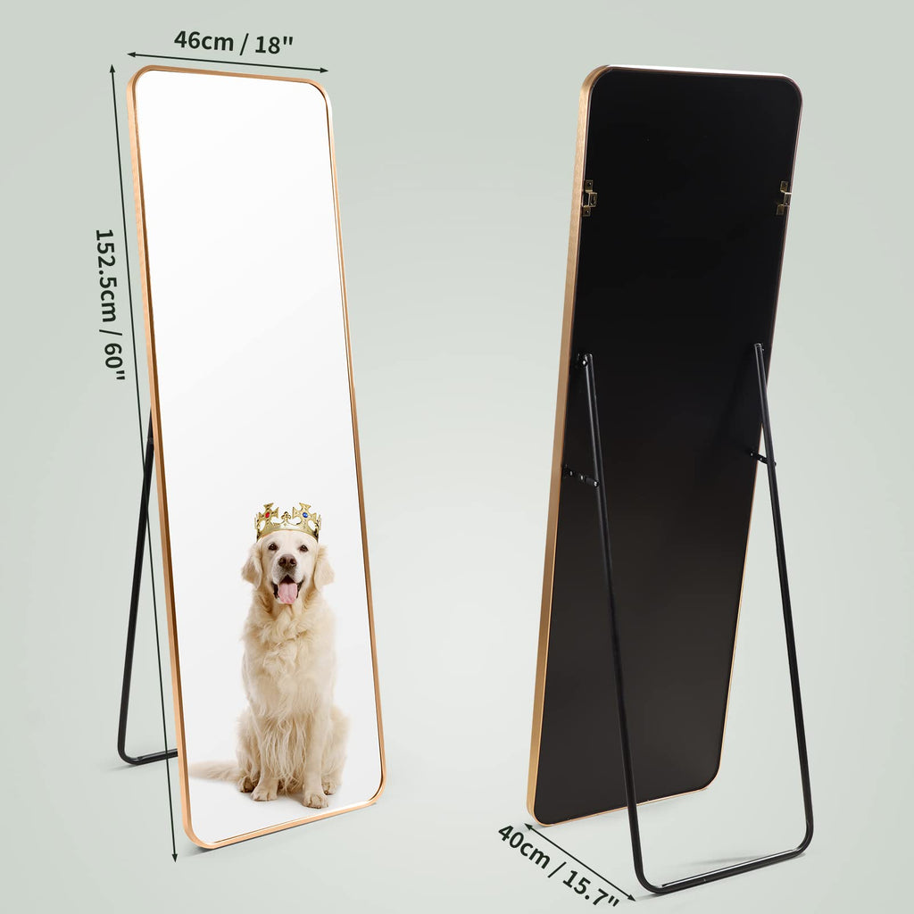 HORLIMER Full Length Standing Mirror | 60x18 Aluminum Frame Gold Mirror