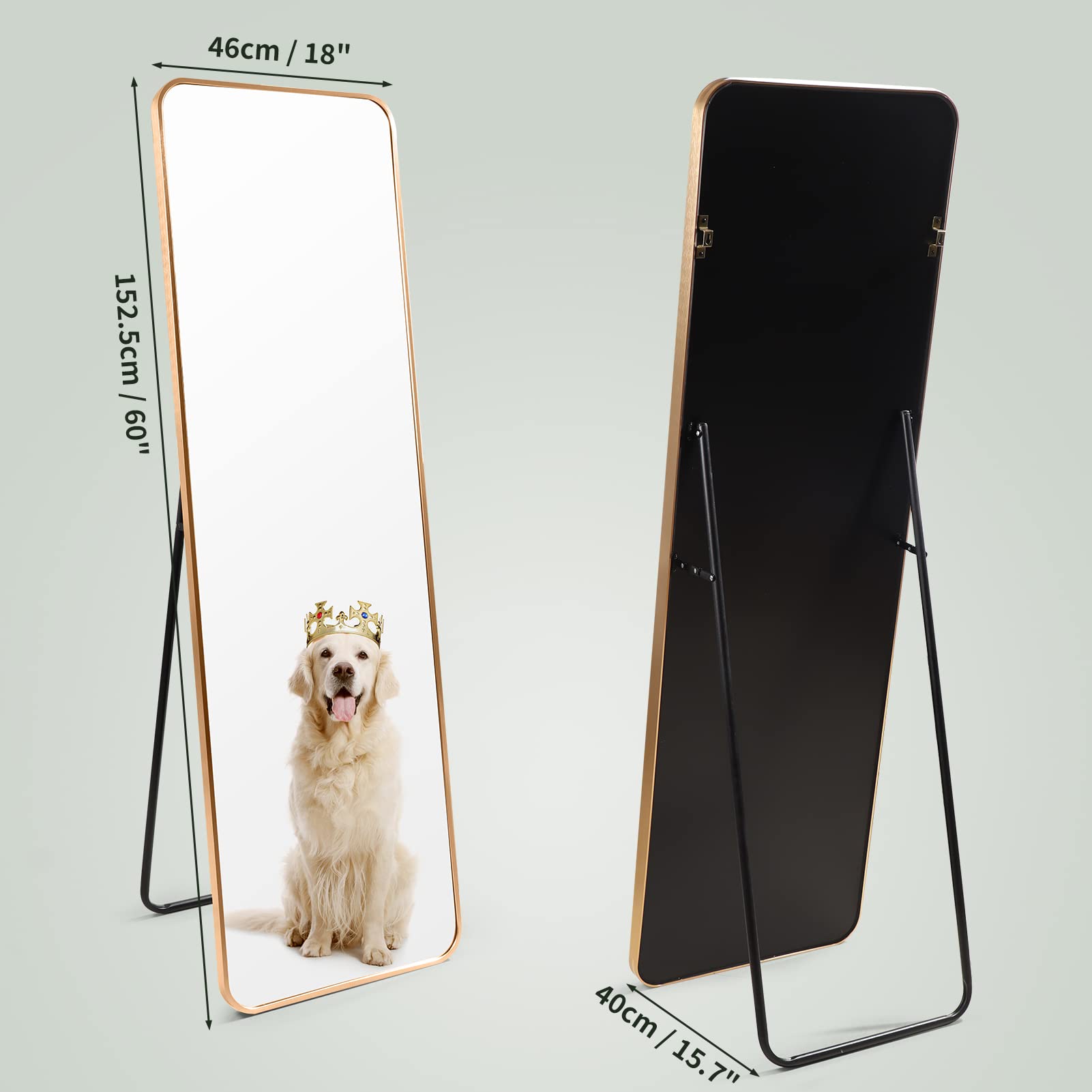 HORLIMER Full Length Standing Mirror | 60x18 Aluminum Frame Gold Mirror