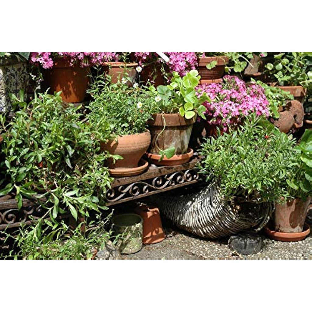 Jolof Store Cast-Iron Rectangular Etagere Plant Stand – Brown, 79cm