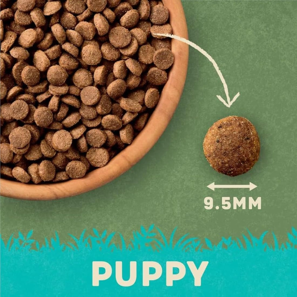 Harringtons Puppy Dry Dog Food – Natural Salmon & Rice, 10kg Bag