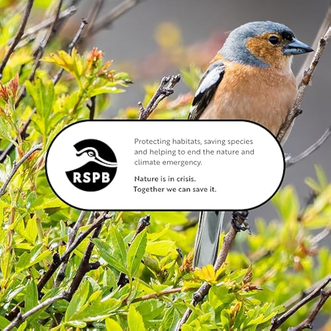 RSPB Squirrel Proof Bird Seed Feeder – Durable Hanging Aluminium