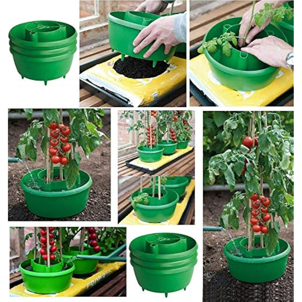 Jolof Store Plant Halo Self-Watering Pot and Crop Support System – Green
