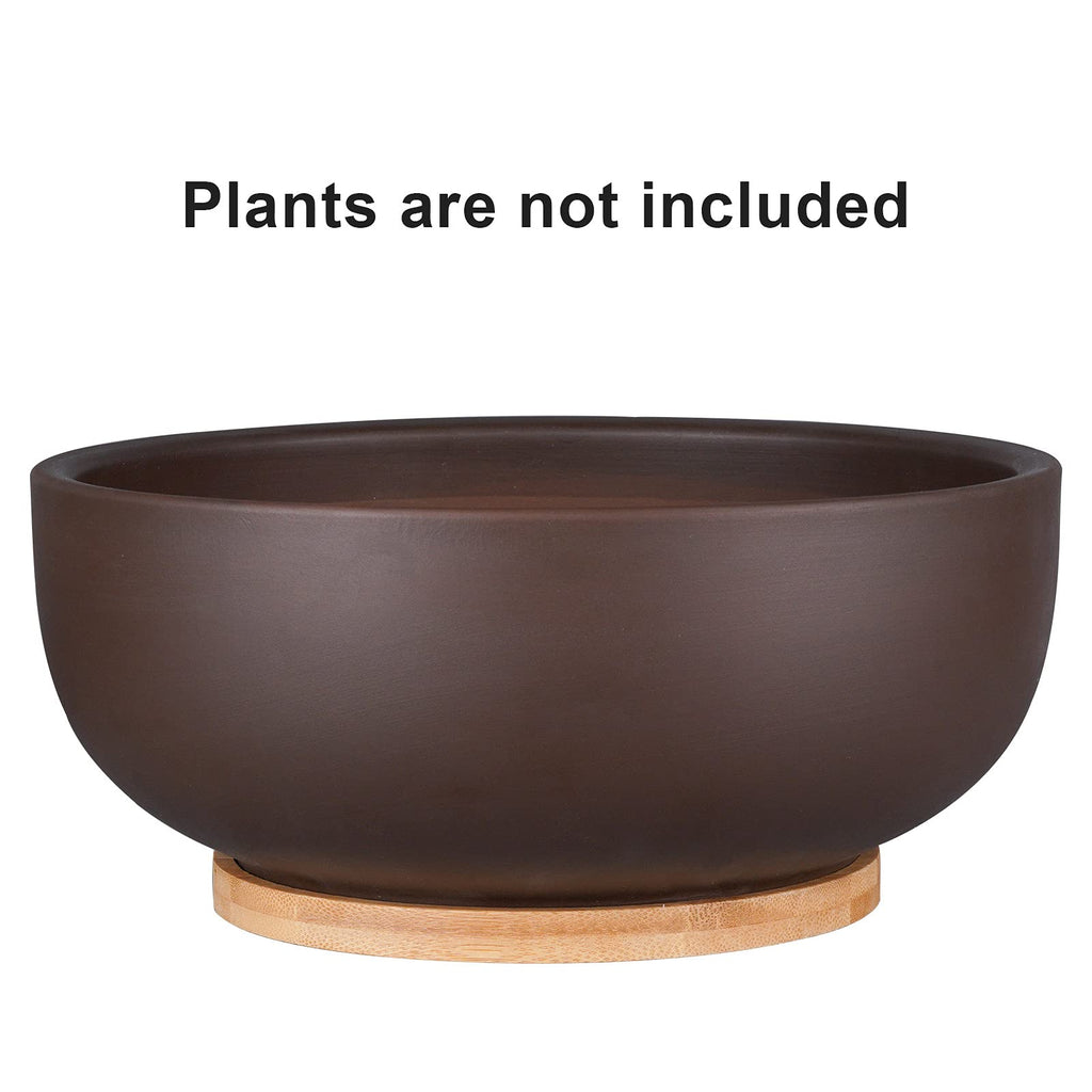 Thirtypot 25cm Terracotta Planter – Large Succulent Pot with Saucer