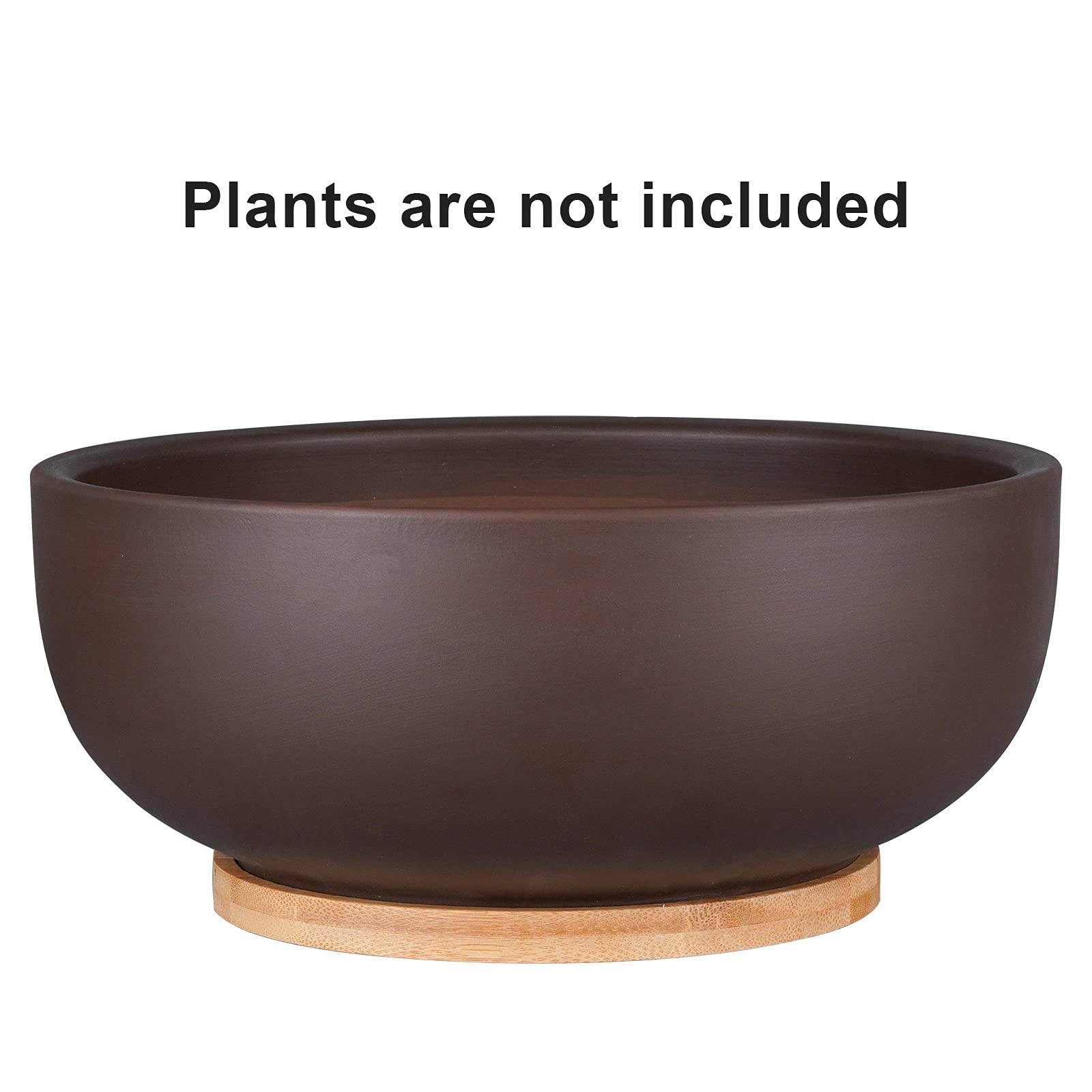 Thirtypot 25cm Terracotta Planter – Large Succulent Pot with Saucer