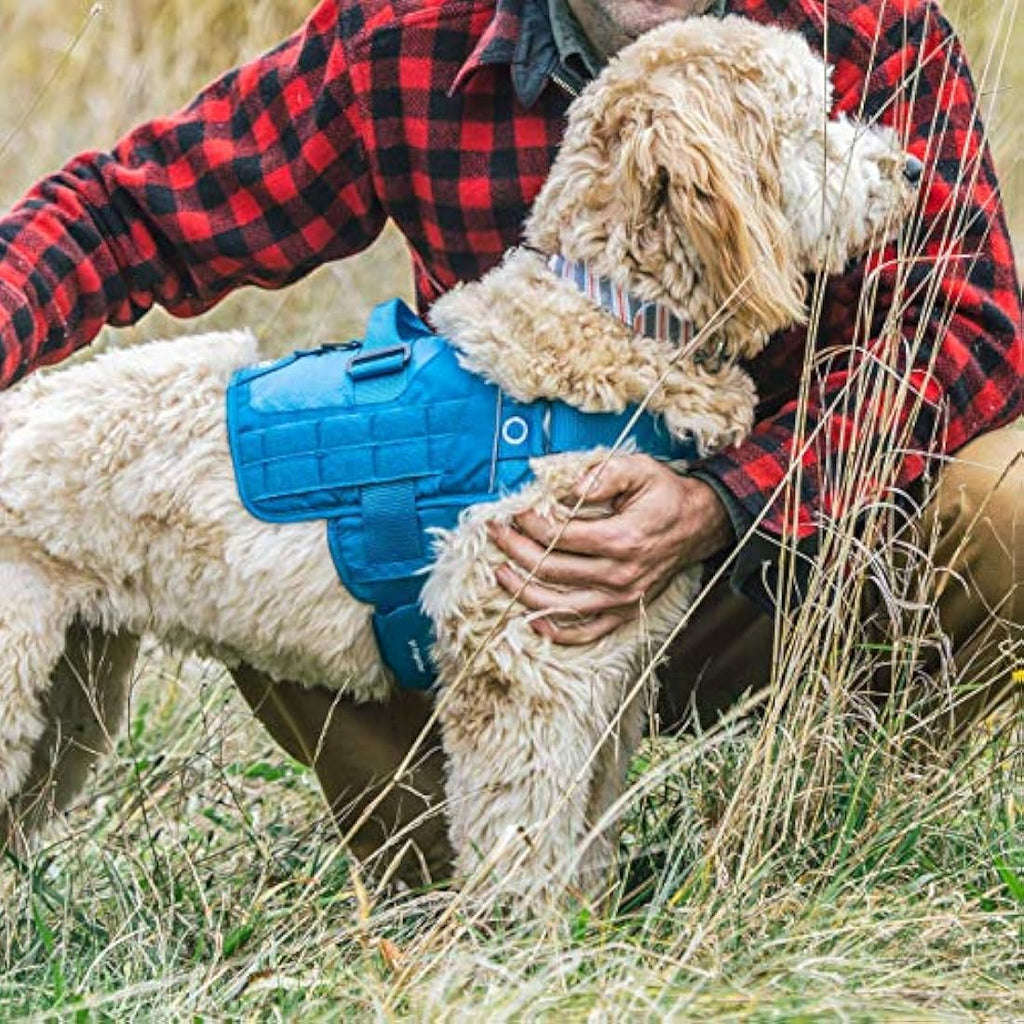 Kurgo RSG Townie Dog Harness – Tactical MOLLE Hiking Vest, Black, Medium
