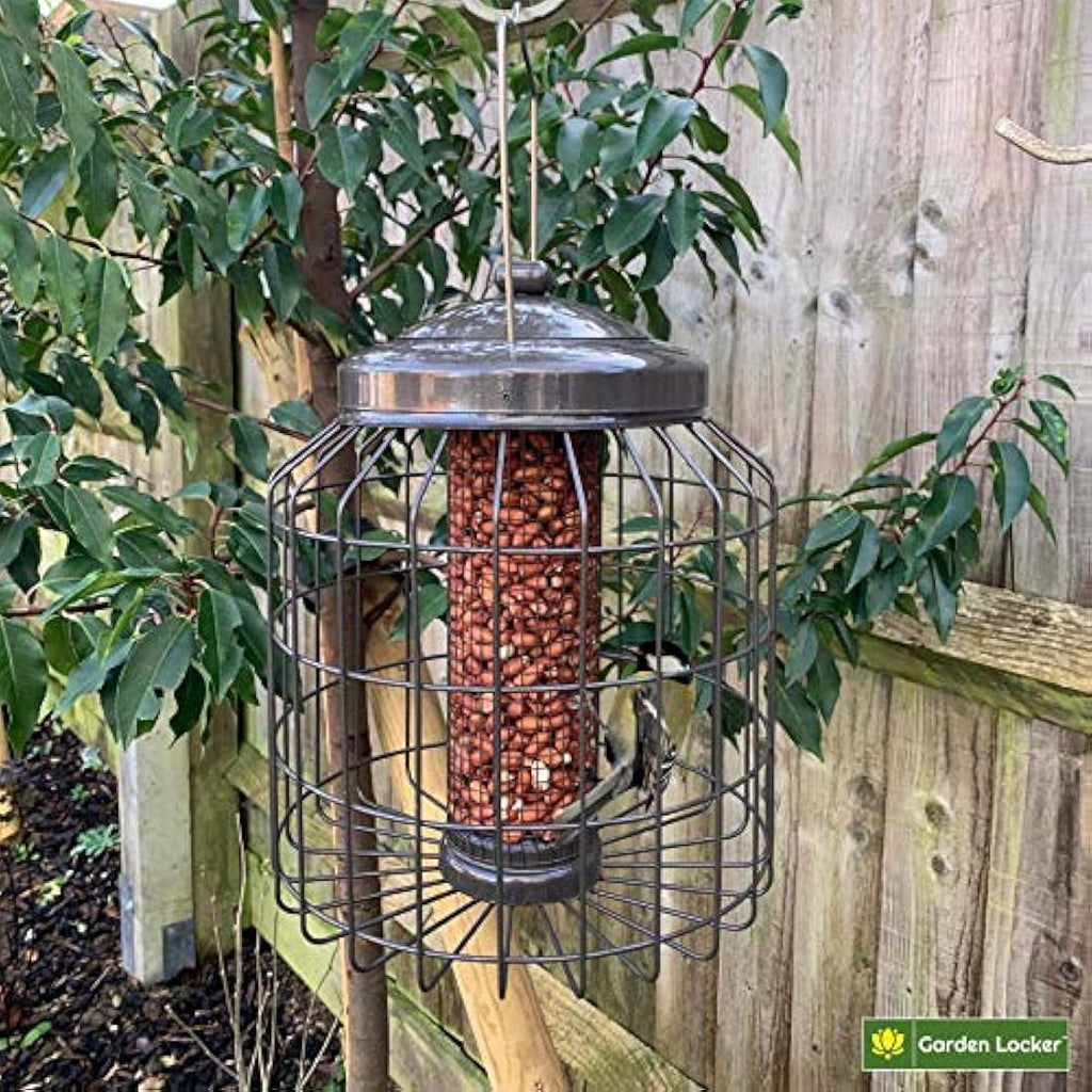 Jolof Store Squirrel Proof Peanut Bird Feeder – Heavy Duty Metal Mocha