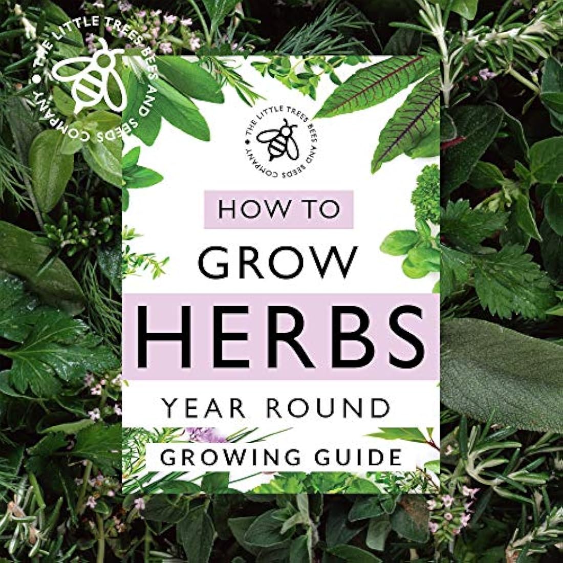 Jolof Store 15 Herb Seed Varieties Kit – Non-GMO Indoor & Outdoor Garden
