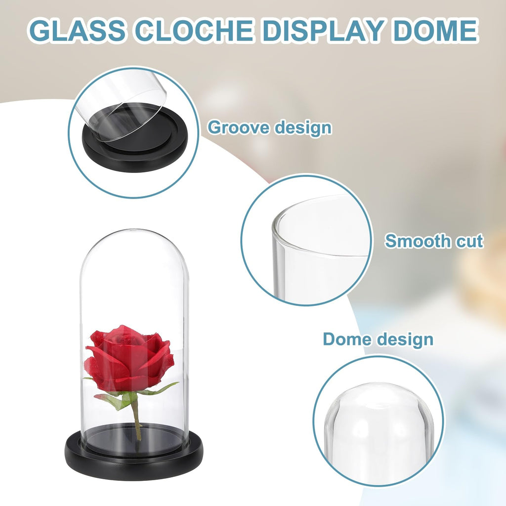 sourcing map Glass Cloche Display Dome, 7" x 3.5" Glass Dome Display Case Wood Base Tabletop Jar Case Decorative Bell Jar for Plant Home Decor Office