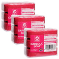 Fitzroy Carbolic Antibacterial Soap - 9 Bar Pack (3 x 125g) Antiseptic
