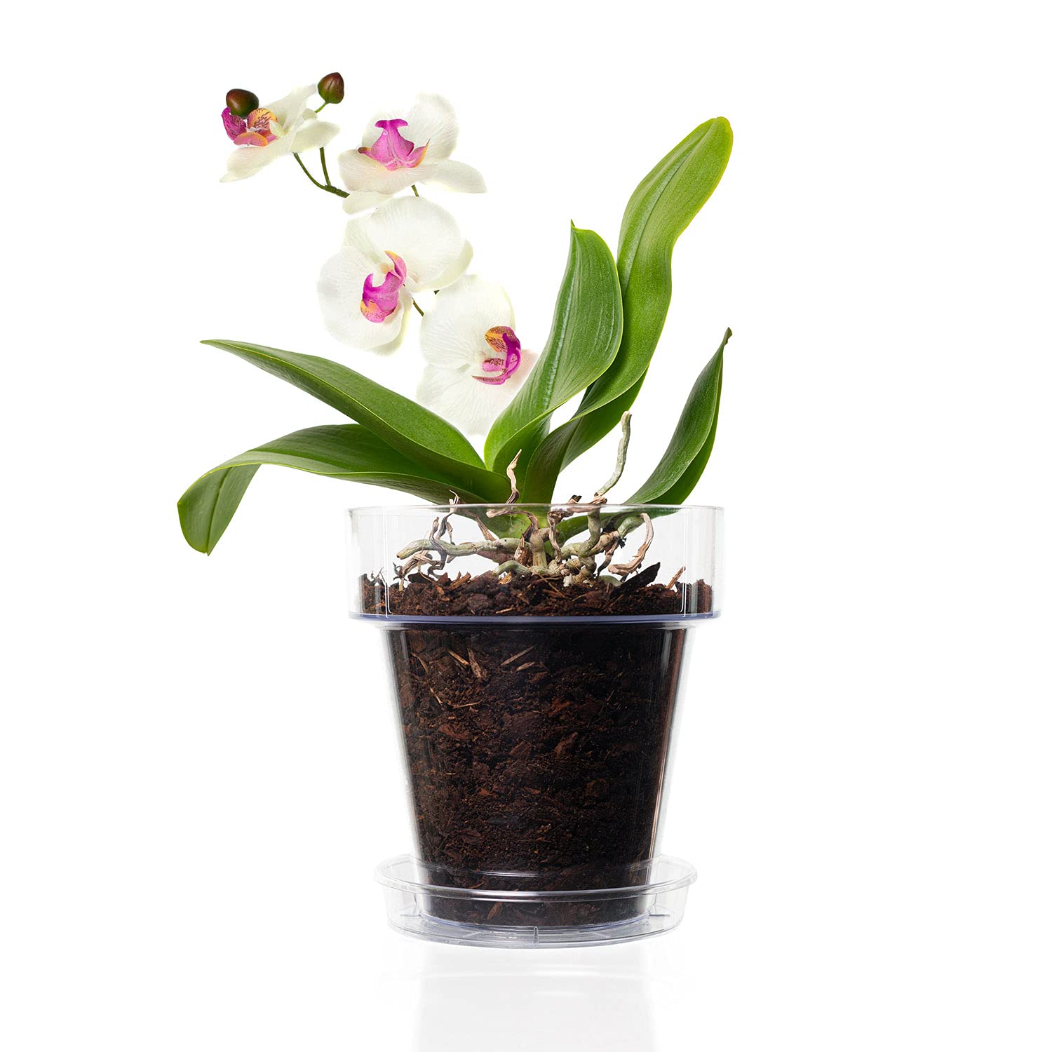 Kalapanta Clear Plastic Orchid Pot with Drainage Holes and Saucer - 16cm