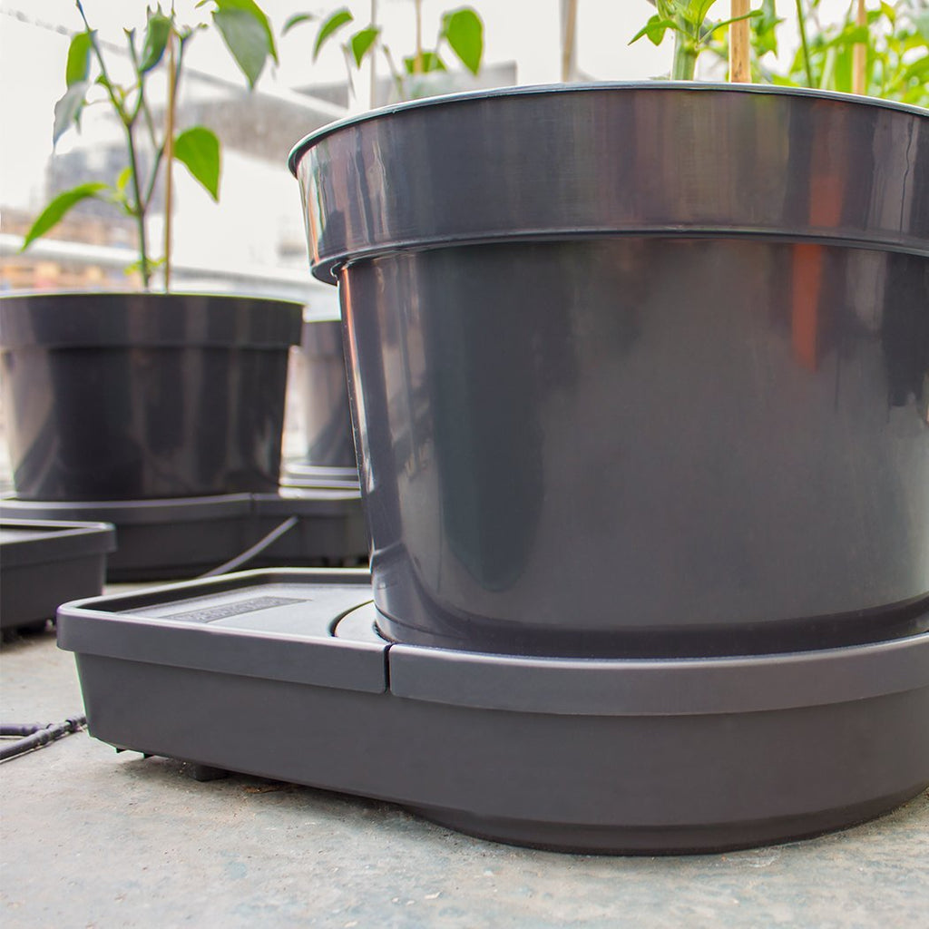 PLANT IT GoGro Automatic Watering System | 2 Plant Kit with 15L Pots