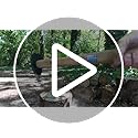 Spear & Jackson 6.5lb Log Splitting Maul | Carbon Steel & Hickory