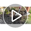 Spear & Jackson Neverbend Carbon Steel Digging Spade | Hardwood Shaft