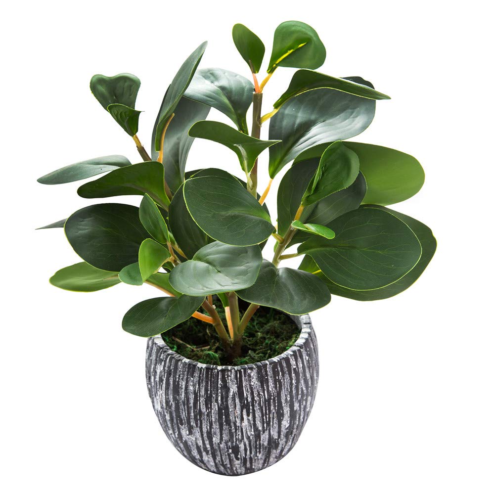 Artificial Fiddle Leaf Fig Plant in 4.5" Black Cement Planter