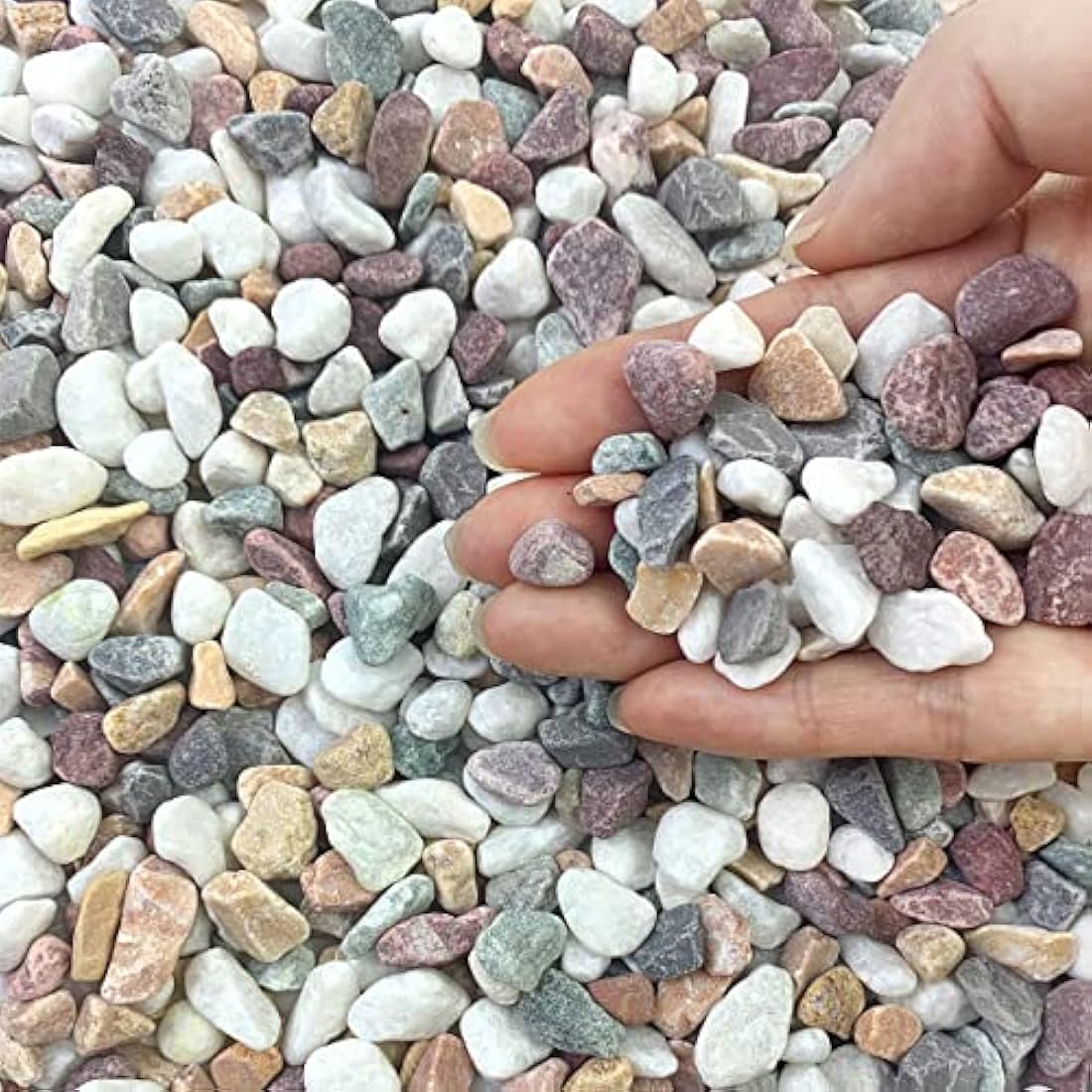 FANTIAN Mixed Color Aquarium Gravel – 2lb Decorative Pebbles for Plants