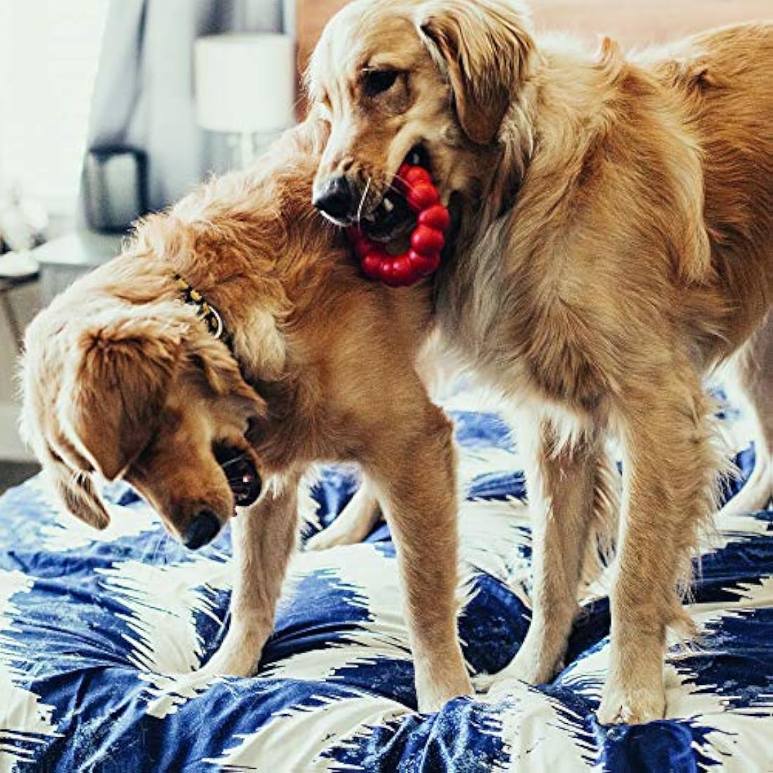 KONG Ring Durable Natural Rubber Dog Chew Toy for Medium/Large Dogs