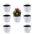 ShoppeWatch 7-Pack Self Watering Wall Planters - 7 Inch Indoor Outdoor Pots