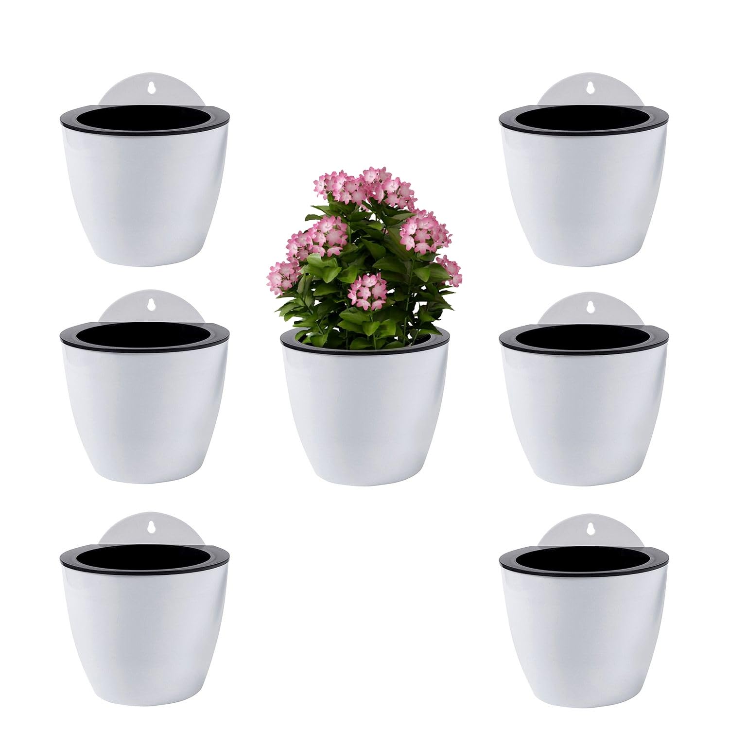 ShoppeWatch 7-Pack Self Watering Wall Planters - 7 Inch Indoor Outdoor Pots