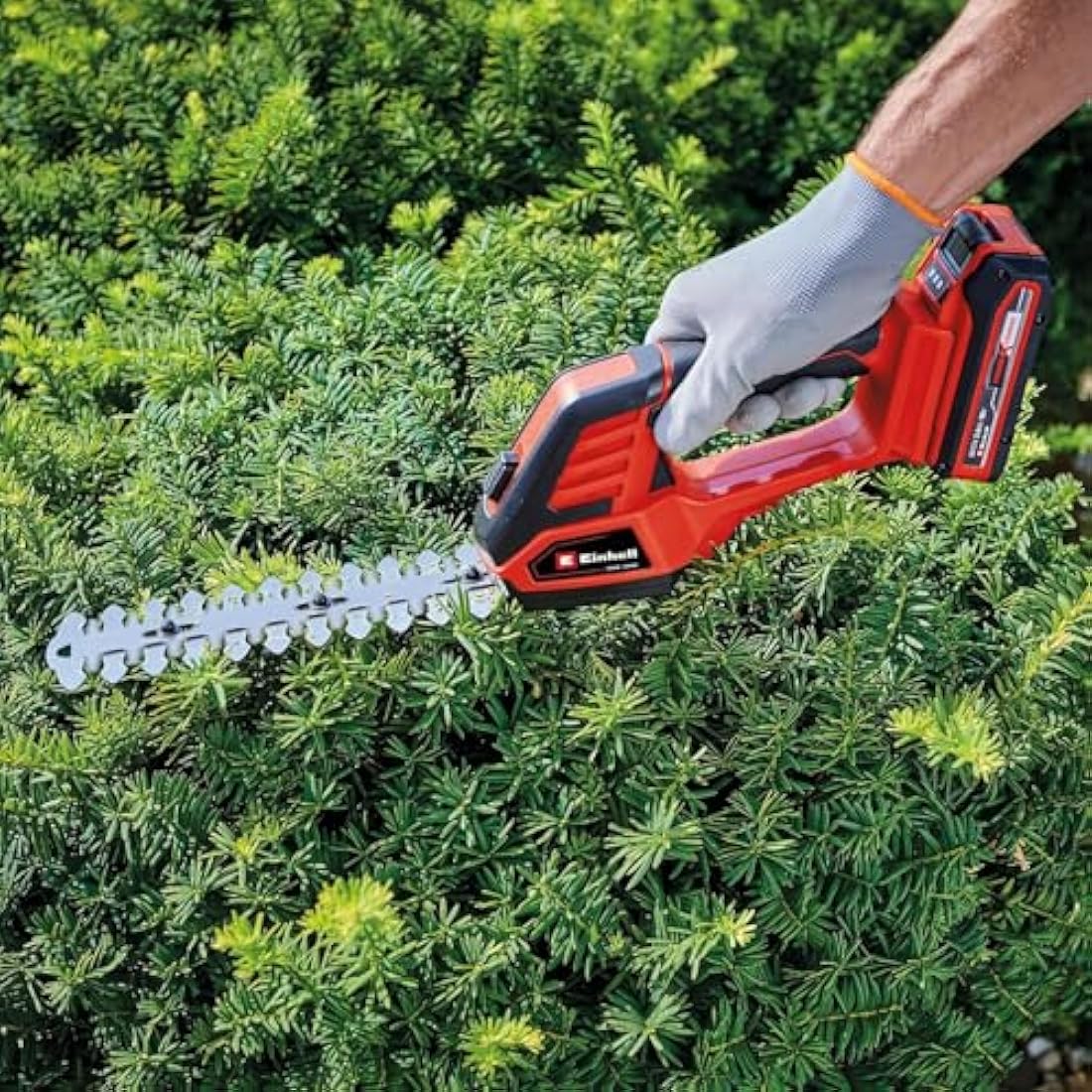 Einhell 18V Cordless Grass & Shrub Shears – 2-Blade System (Solo)