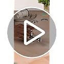 Jolof Store Brass Basin Mixer Tap | Chrome Monobloc Sink Faucet with Waste