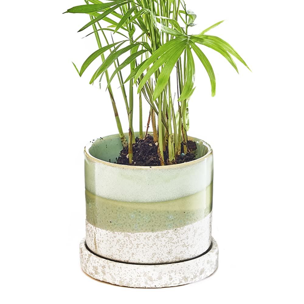 Chive Minute Ceramic Succulent Pots with Drainage - Set of 3 Blue & Green