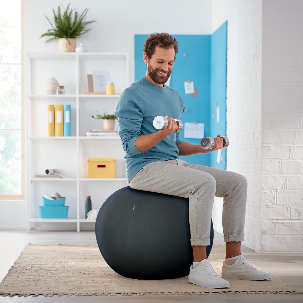 Leitz Ergo Cosy Active Sitting Ball – 65cm Ergonomic Exercise Chair