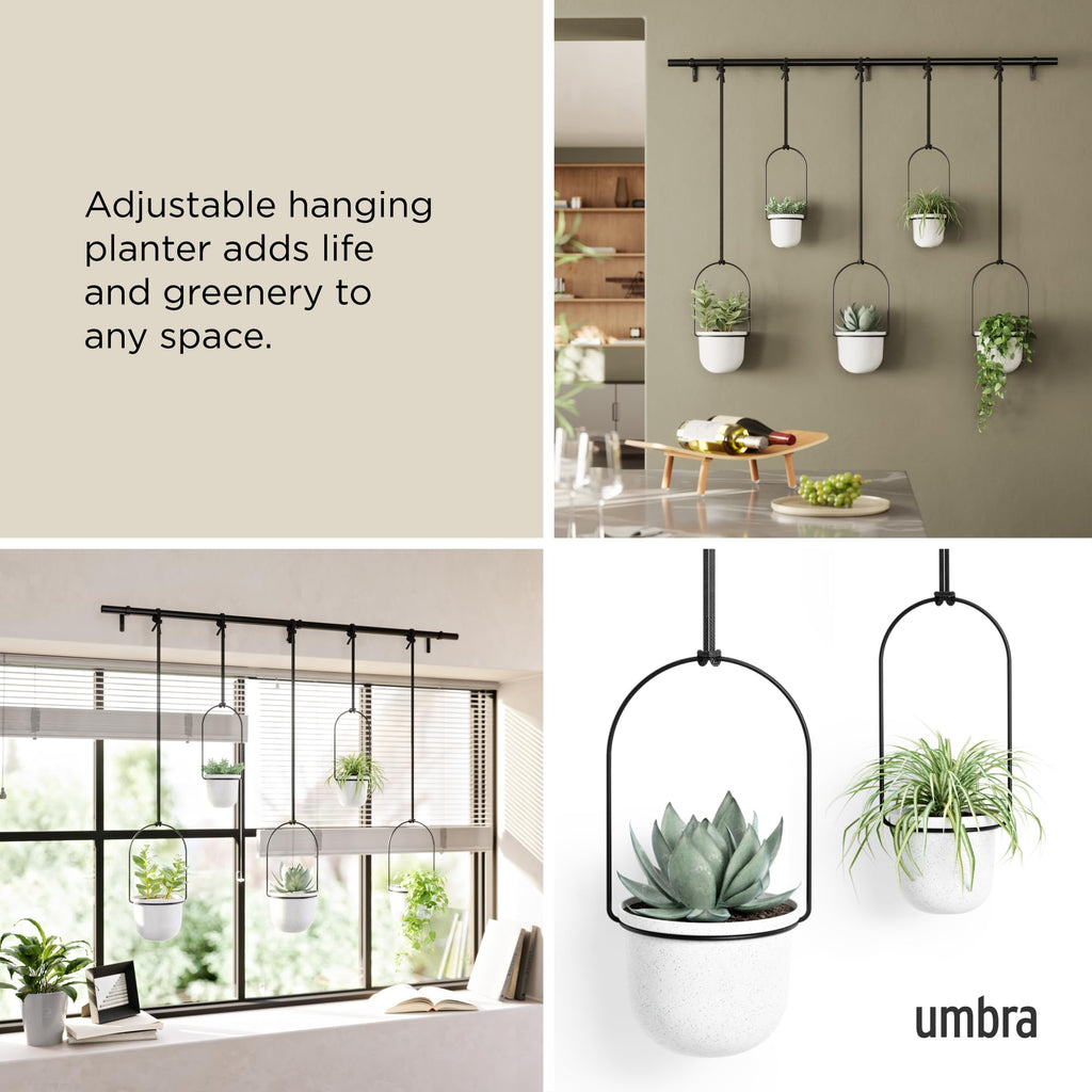 Umbra Triflora Hanging Window Planter – 5 Pots for Herbs & Succulents
