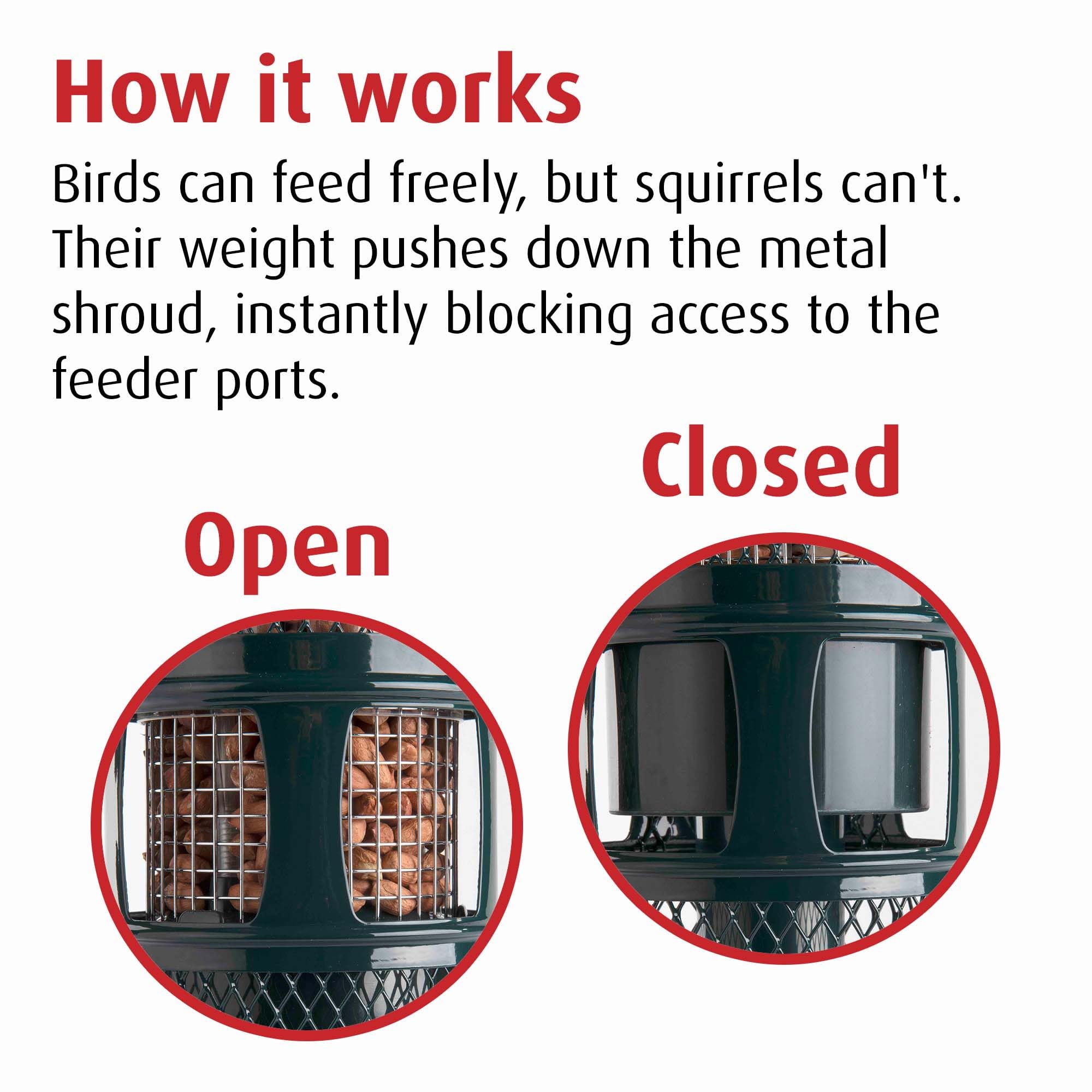 Jacobi Jayne Squirrel Buster Peanut Bird Feeder – Metal, Green, 750ml