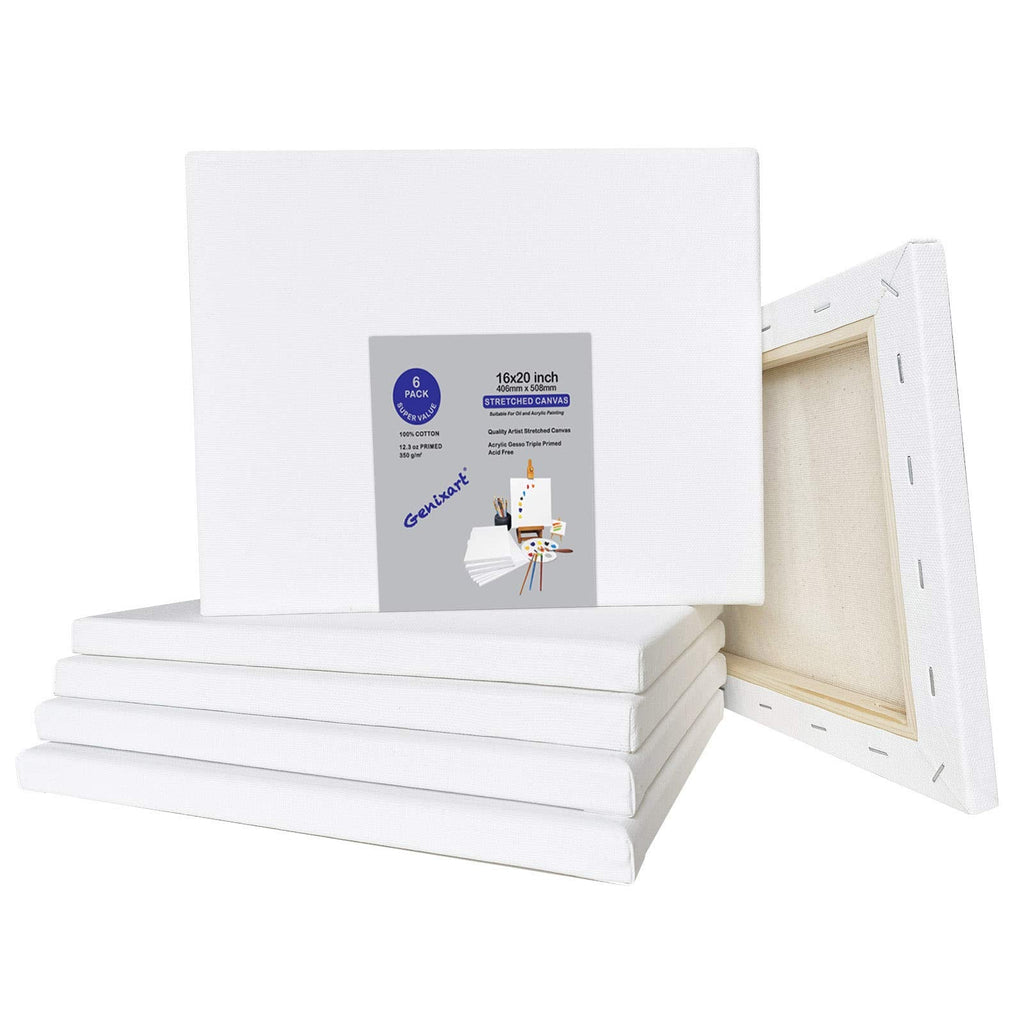 Genixart 16x20 Stretched Canvas 5-Pack | 100% Cotton Primed Artist Canvas
