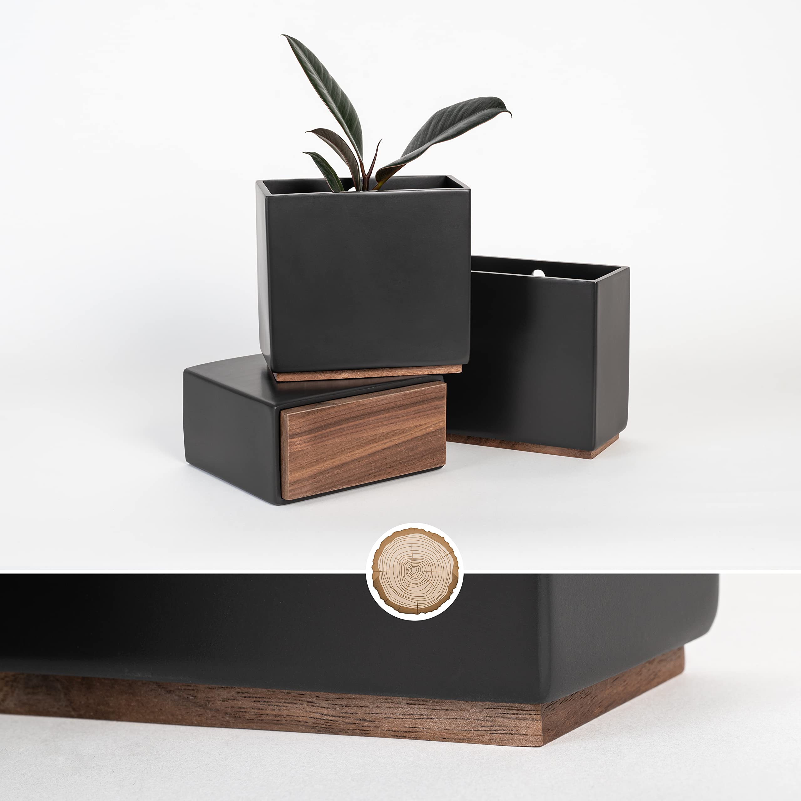 Kazai Alma Wall Planters | Set of 3 Resin & Wood Hanging Indoor Pots